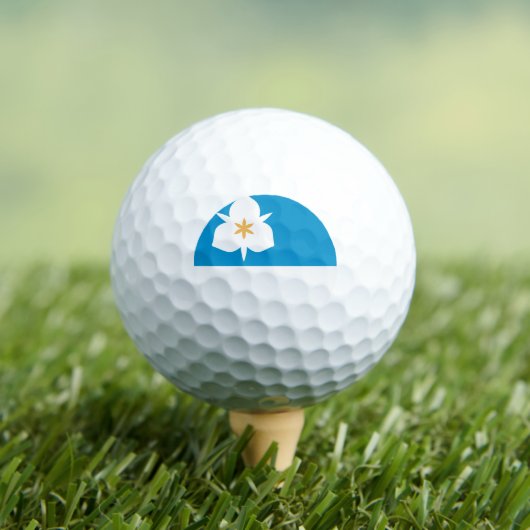 Flagge von Salt Lake City, Utah Golfball (Insitu T-Shirt)