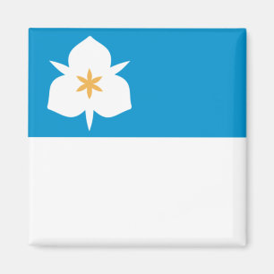 Flagge von Salt Lake City (Utah) Magnet