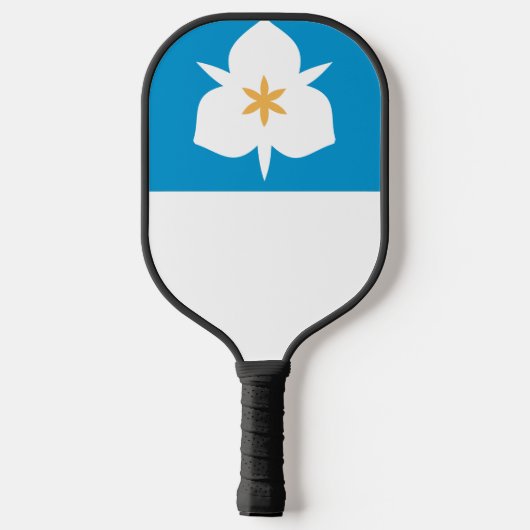 Flagge von Salt Lake City, Utah Pickleball Schläger (Rückseite)