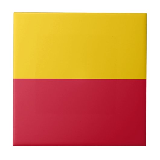 Flagge von Schagen Fliese (Vorderseite)