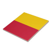 Flagge von Schagen Fliese (Seite)