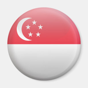 Flagge von Singapur Magnet