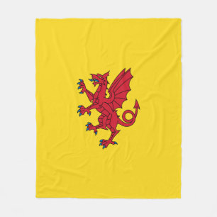 Flagge von Somerset Fleecedecke