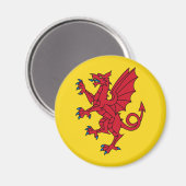 Flagge von Somerset Magnet (Vorderseite/Rückseite)