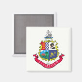 Flagge von Stamford (Connecticut) Magnet (Vorderseite/Rückseite)