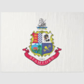 Flagge von Stamford (Connecticut) Seidenpapier (Vorderseite)