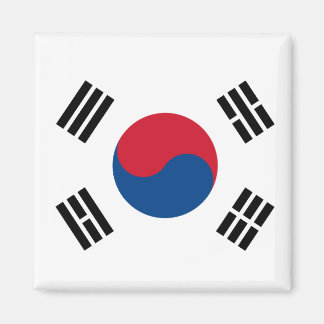 Flagge von Südkorea Magnet