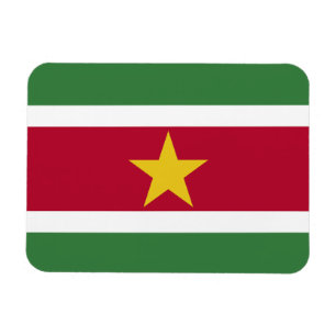 Flagge von Suriname Magnet