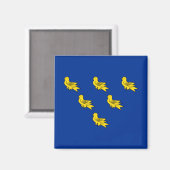Flagge von Sussex Magnet (Vorderseite/Rückseite)