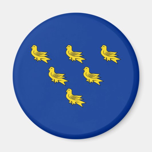 Flagge von Sussex Magnet (Vorne)