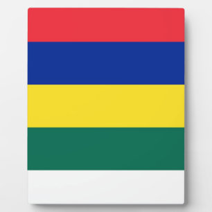 Flagge von Terschelling Fotoplatte