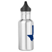 Flagge von Texas Edelstahlflasche (Links)