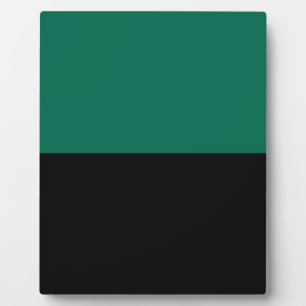 Flagge von Texel Fotoplatte