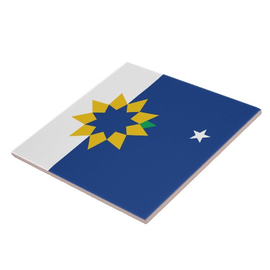 Flagge von Topeka (Kansas) Fliese (Seite)