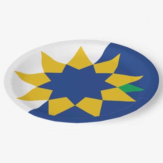 Flagge von Topeka, Kansas Pappteller (Schrägansicht)