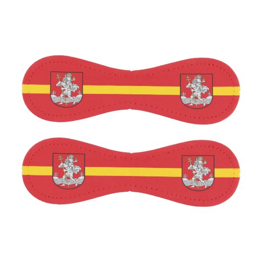 Flagge von Vilnius, Litauen Baseball (Paneele)