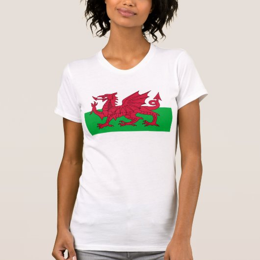 Flagge von Wales - der rote Drache - Baner Cymru T-Shirt (Vorderseite)