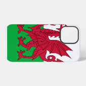 Flagge von Wales iPhone Hülle (Rückseite (Horizontal))