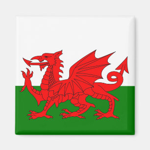 Flagge von Wales Magnet