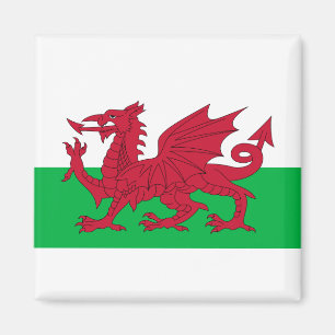 Flagge von Wales Magnet