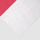 Flagge von Washington D.C. (District of Columbia)  Seidenpapier (Ausschnitt)