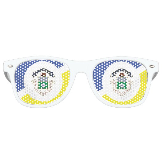 Flagge von Winnipeg, Manitoba Partybrille (Vorderseite)