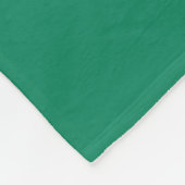 Flagge von Worcester, Massachusetts Fleece-Decke Fleecedecke (Ecke)