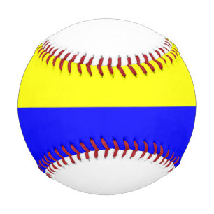Flagge von Zandvoort Baseball