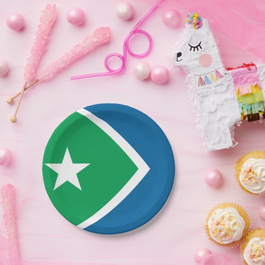 Flagge von Zedernrasen, Iowa Pappteller (Party)