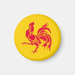 Flagge Walloniens Magnet