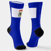 Flagge West Virginia Socken (Gewinkelt)