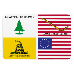 Flaggen der amerikanischen Revolution Magnet