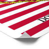 Flaggen der amerikanischen Revolution Poster (Ecke)