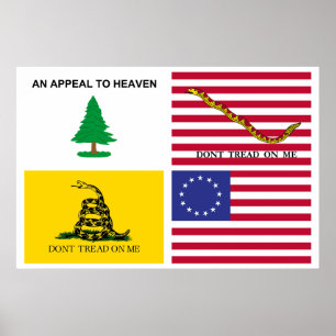 Flaggen der amerikanischen Revolution Poster