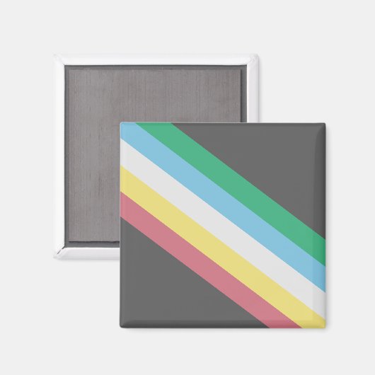 Flaggen des Schwerpunkts Behinderung Magnet (Vorderseite/Rückseite)