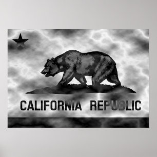 Flaggen-Plasma der Republik Kalifornien Poster