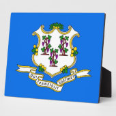Flaggenebene des Connecticut-Zustands Fotoplatte (Seite)