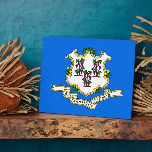 Flaggenebene des Connecticut-Zustands Fotoplatte (Seite)