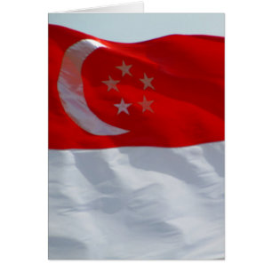 Flaggensingapur
