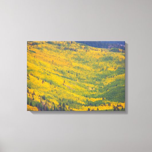 Flagstaff Arizona Aspens Leinwanddruck (Vorderseite)