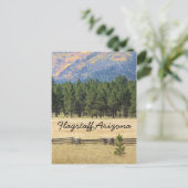 Flagstaff, Arizona bunt Feld Postkarte (Stehend Vorderseite)
