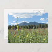 Flagstaff, AZ Postkarte (Vorne/Hinten)