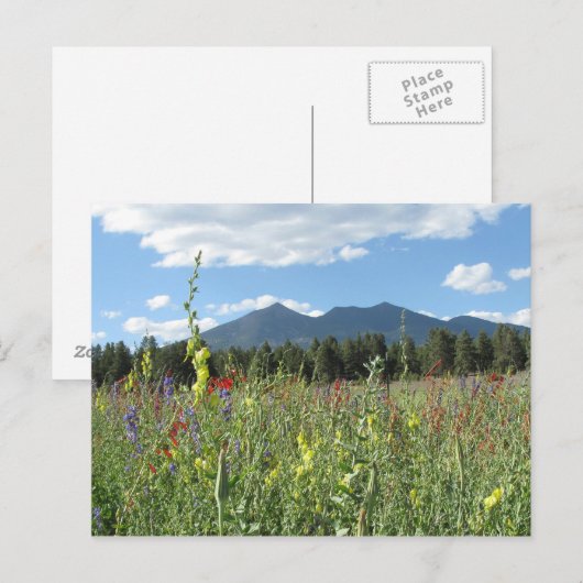 Flagstaff, AZ Postkarte (Vorne/Hinten)