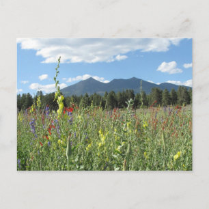 Flagstaff, AZ Postkarte