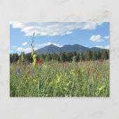 Flagstaff, AZ Postkarte (Vorderseite)