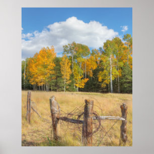 Flagstaff meadow poster