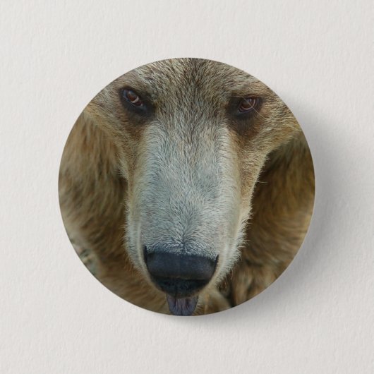 Flair Button (Vorderseite)