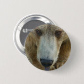 Flair Button (Vorne & Hinten)