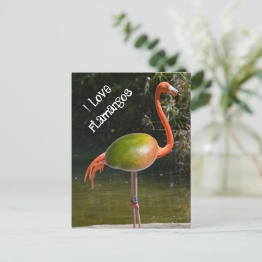 Flamango Postkarte (Stehend Vorderseite)