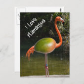 Flamango Postkarte (Vorne/Hinten)